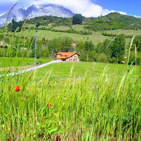 Willa Casa Santa Leocadia Tama Zewnętrze zdjęcie