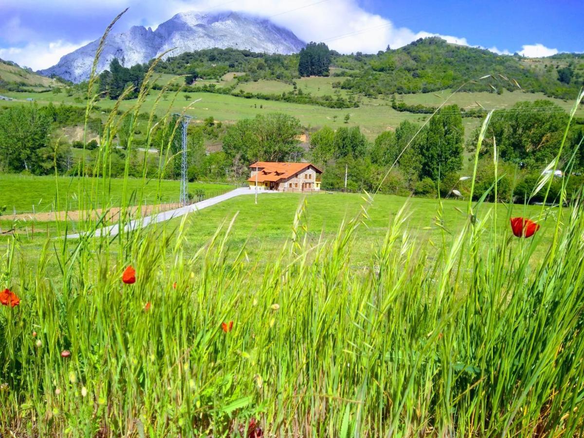Willa Casa Santa Leocadia Tama Zewnętrze zdjęcie